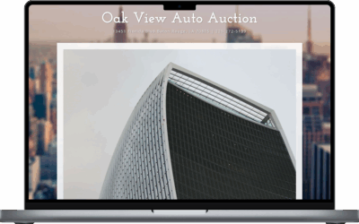 OAK VIEW AUTO AUCTION